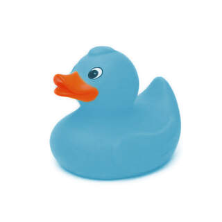 Blue Duck